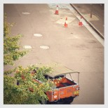 Land Rover on urban safari