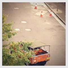 Land Rover on urban safari